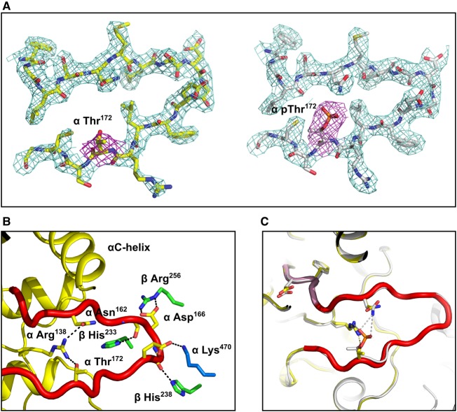 Figure 3.