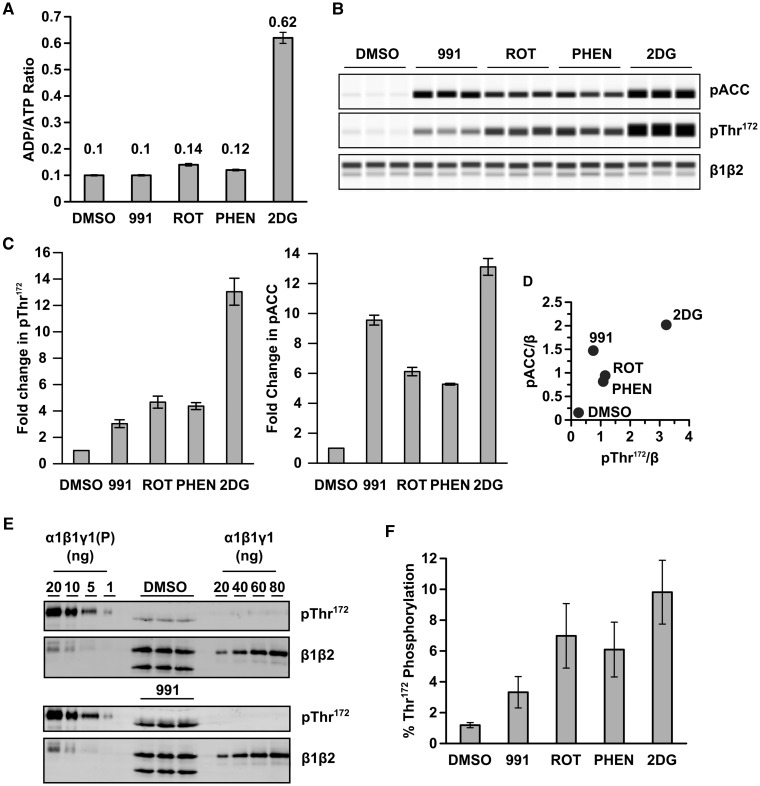 Figure 4.