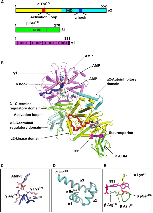 Figure 2.