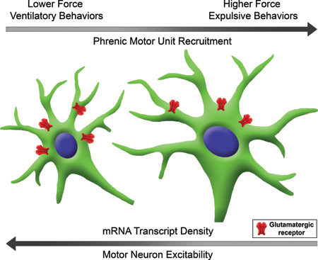 graphic file with name nihms-1052522-f0007.jpg