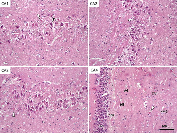 Figure 3