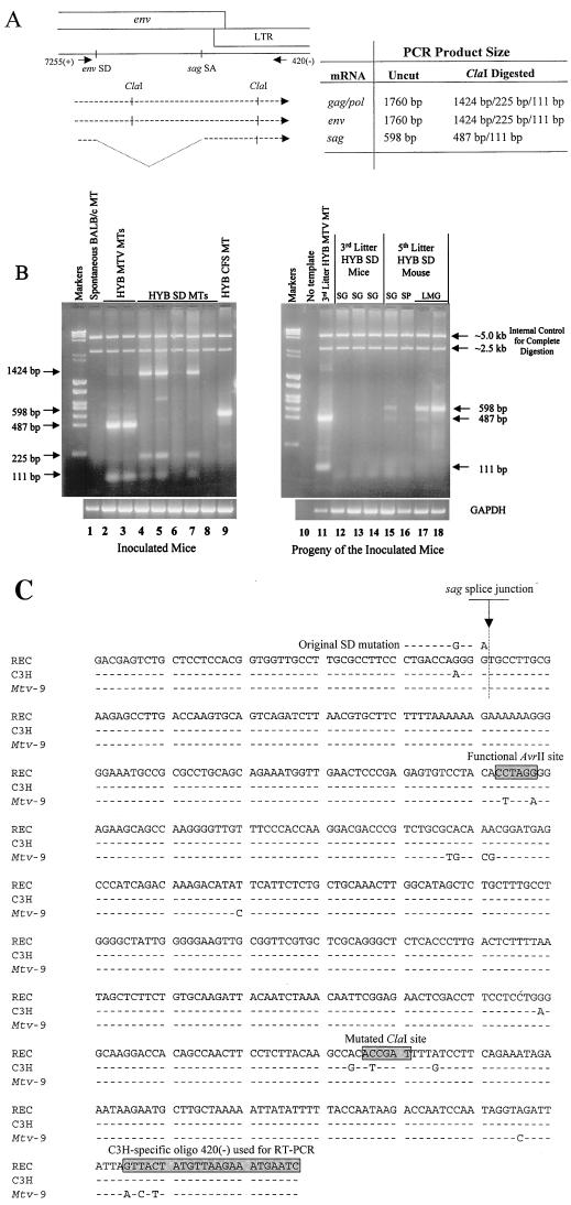 FIG. 8