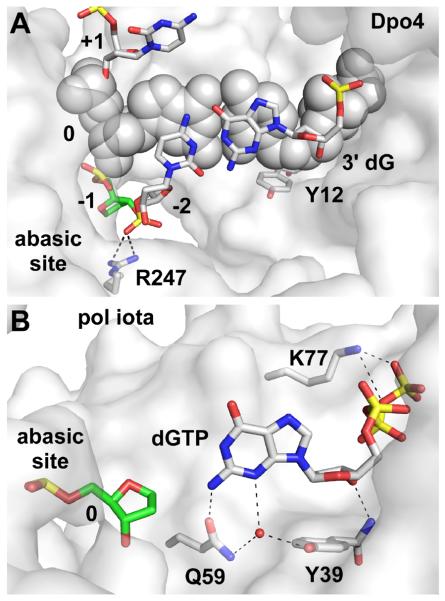 Fig. 8