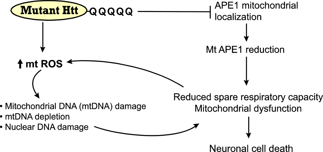 Fig. 10