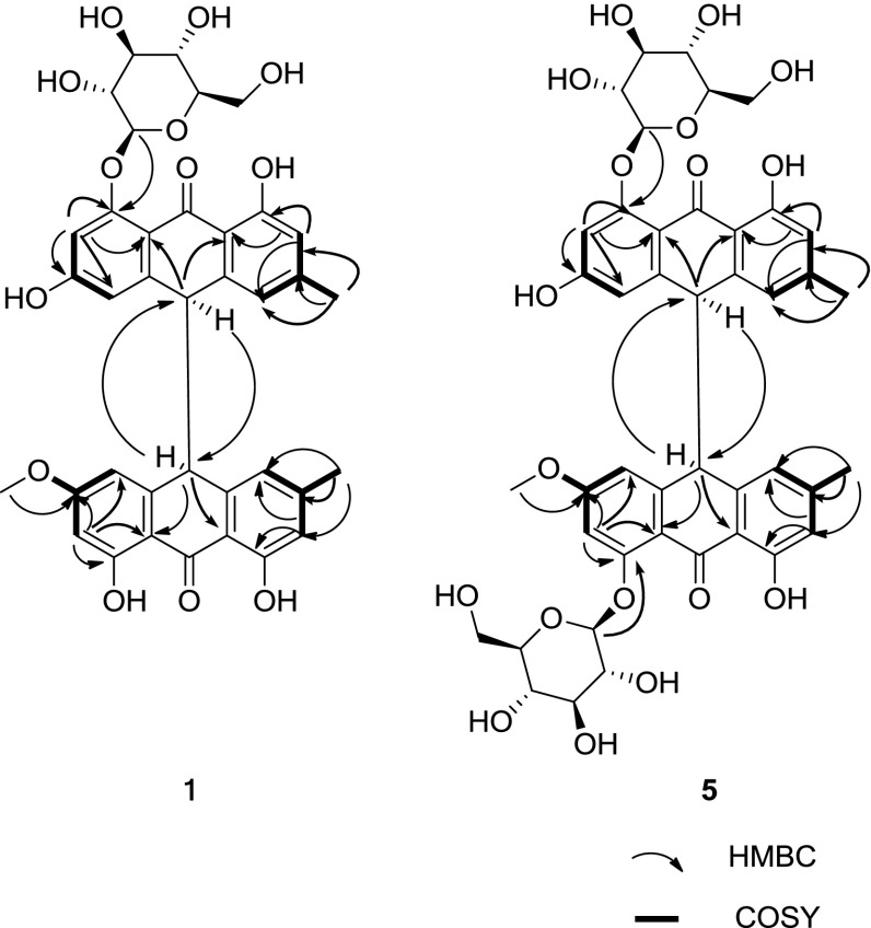 Fig. 2