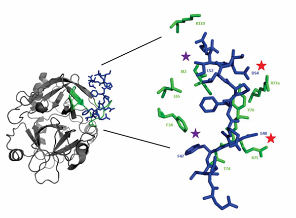 Figure 2: