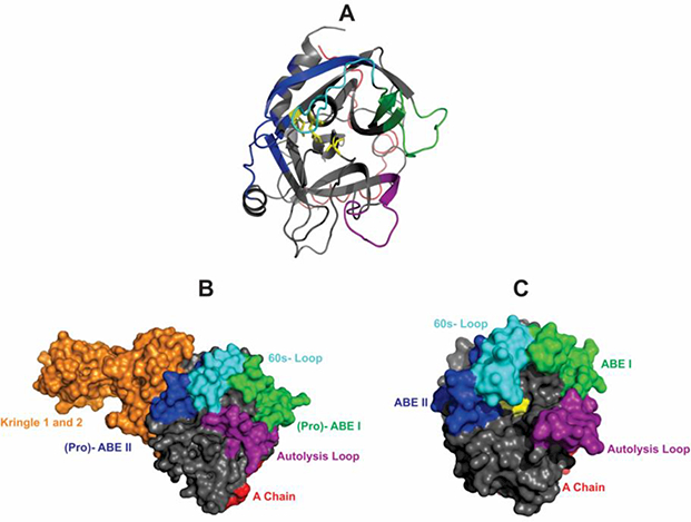 Figure 1: