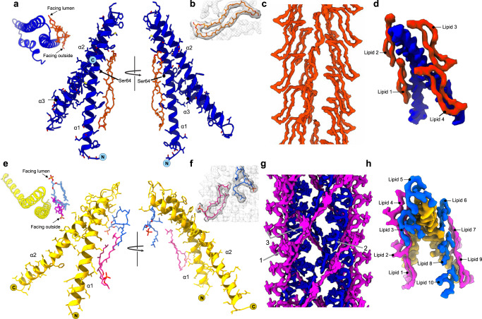 Fig. 2