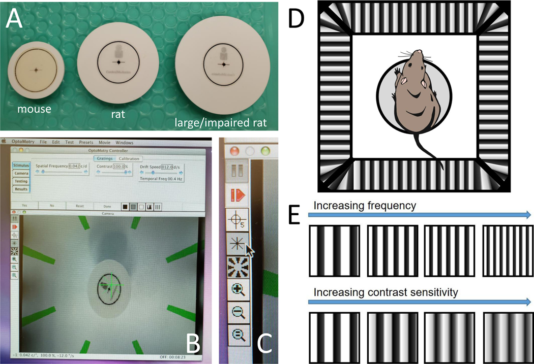 Figure 1: