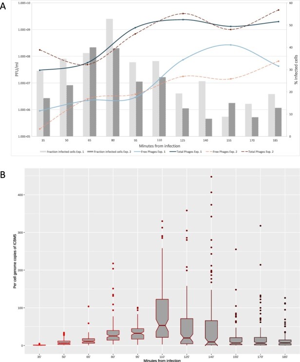 Figure 2.