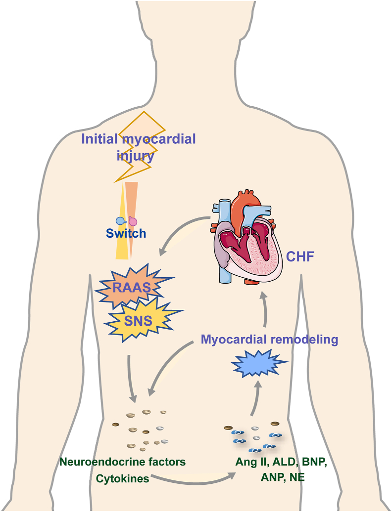 Figure 2