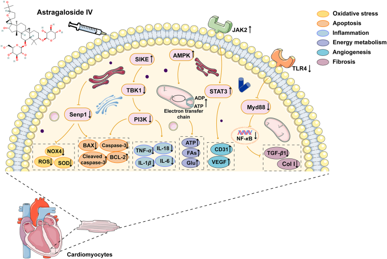 Figure 4