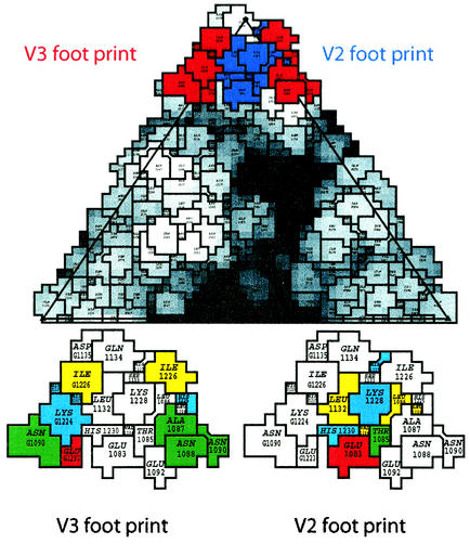 FIG. 6.