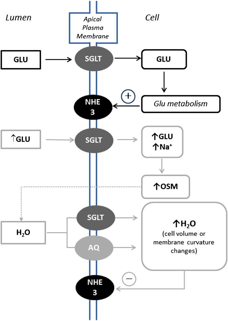 Figure 7.