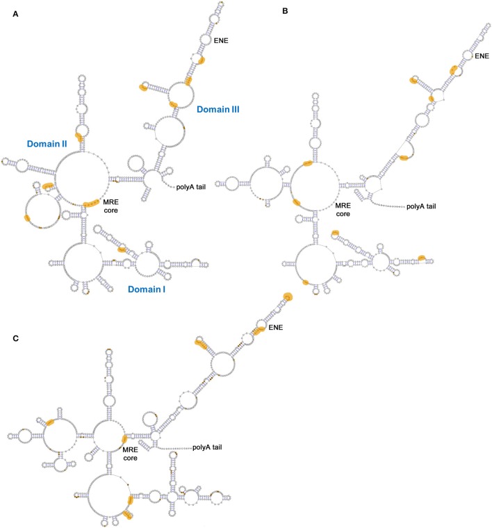 Figure 10