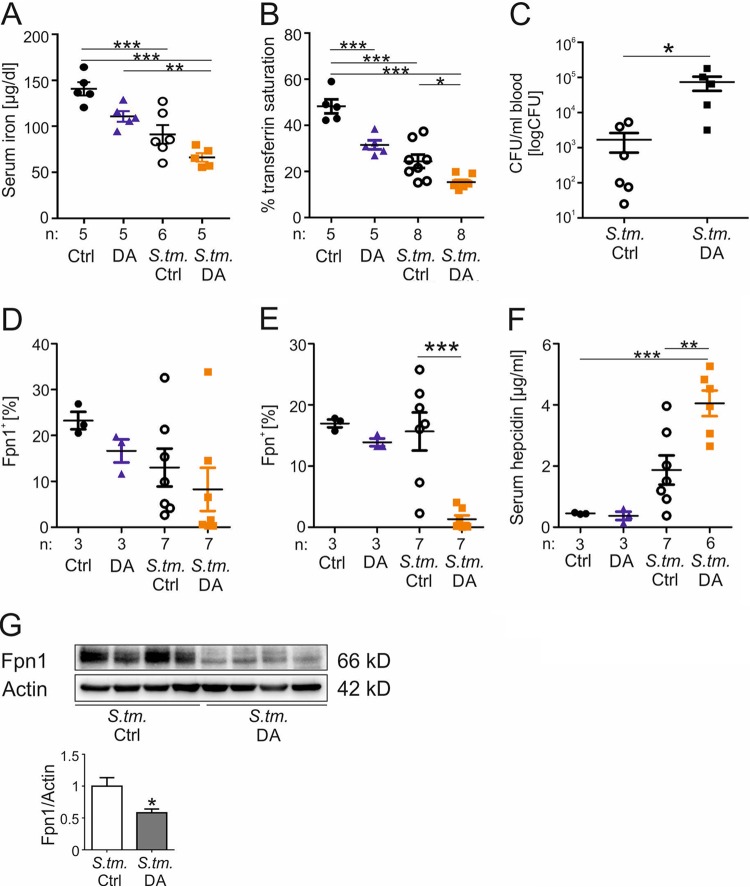 FIG 3