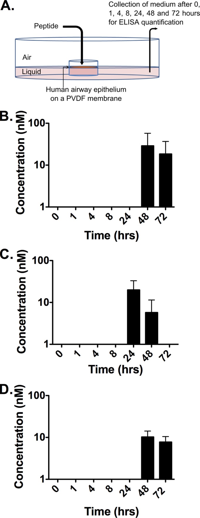 FIG 6