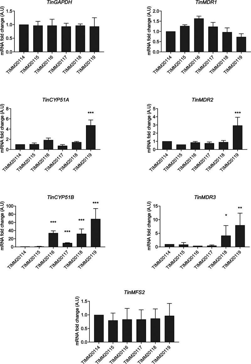 FIG 3