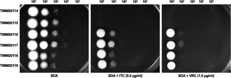 FIG 1