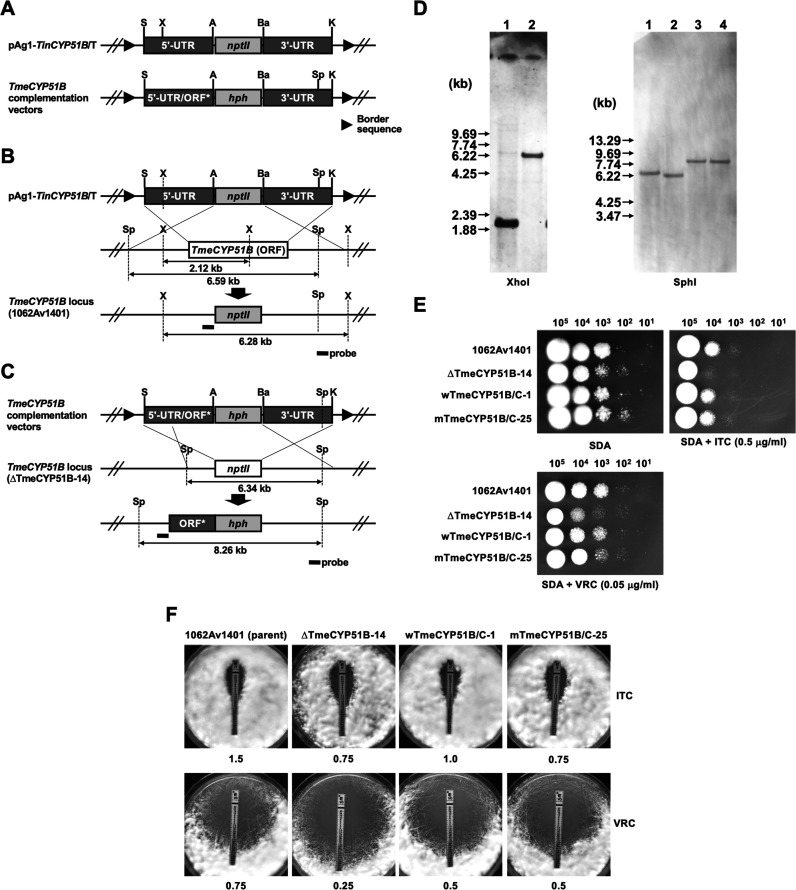 FIG 2