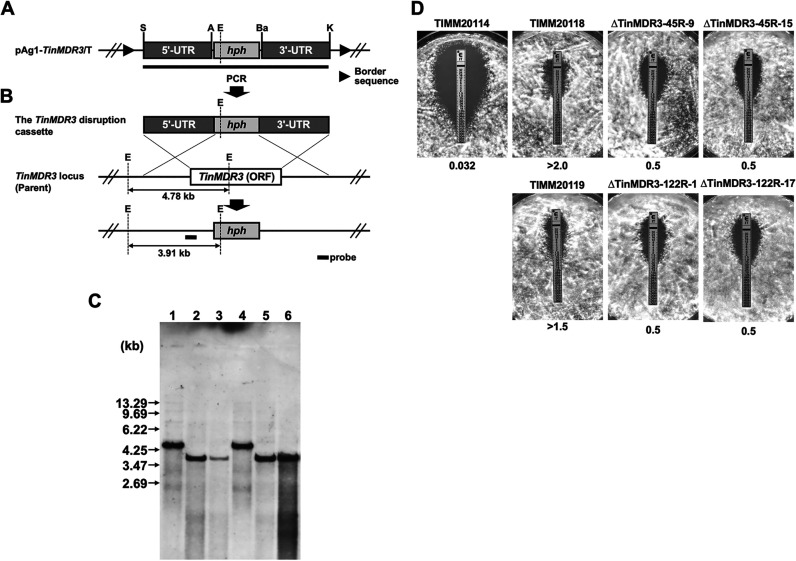 FIG 4