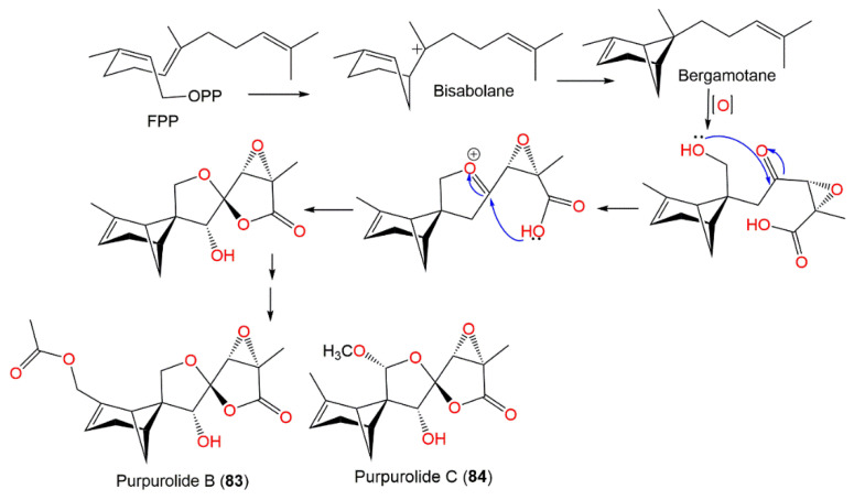 Scheme 3