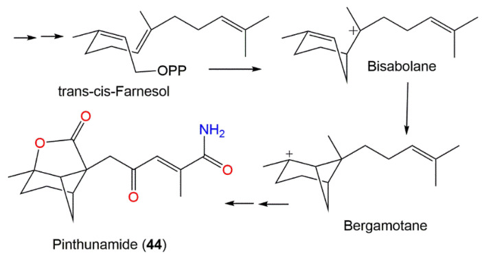 Scheme 5