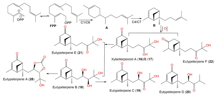 Scheme 1