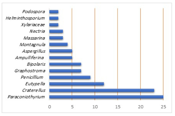 Figure 12