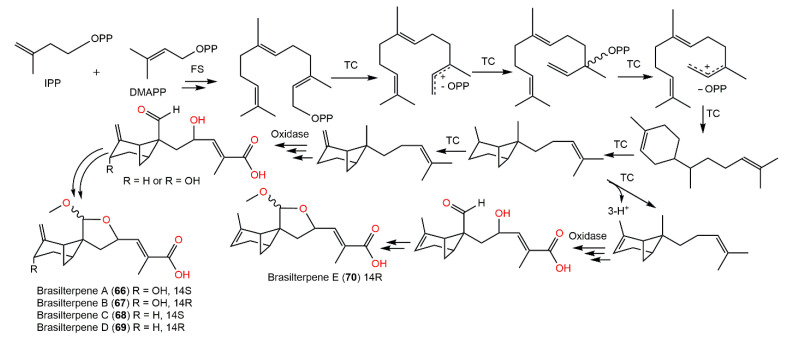 Scheme 4