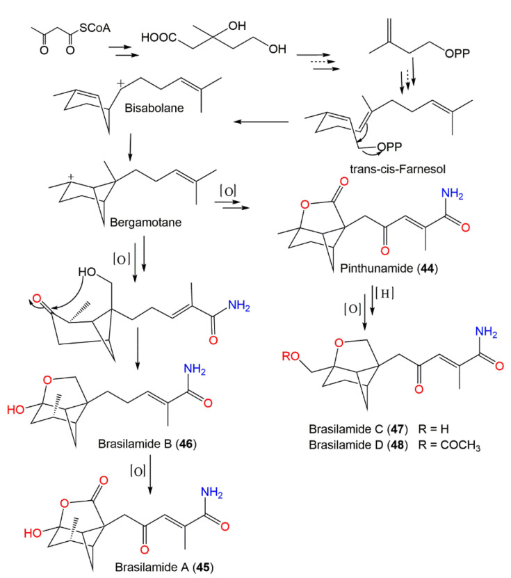 Scheme 2