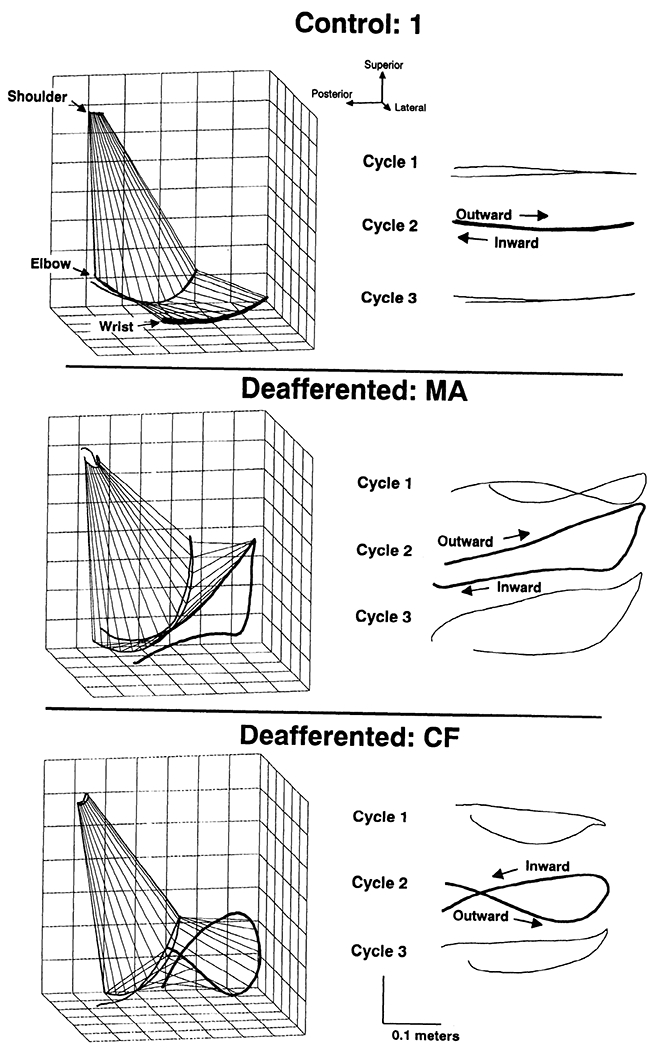 FIG. 3.