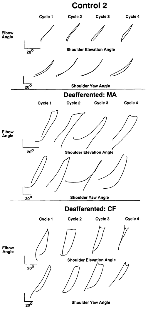 FIG. 7.