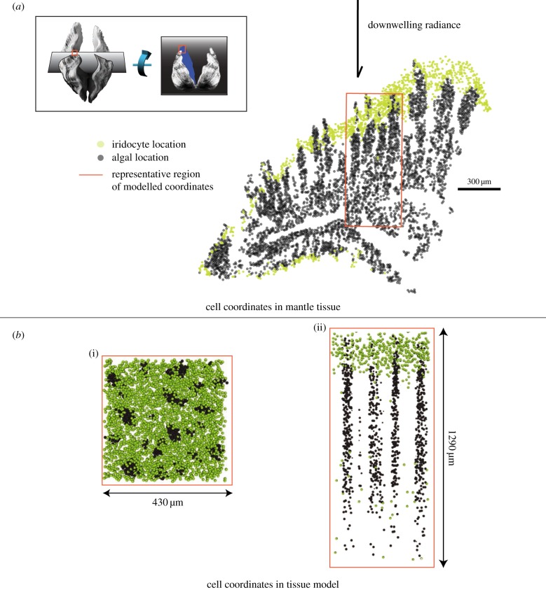 Figure 2.