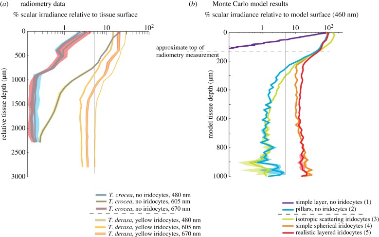 Figure 4.