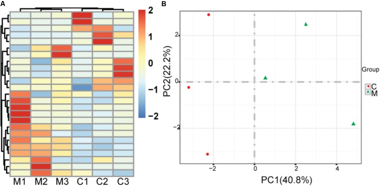 FIGURE 1