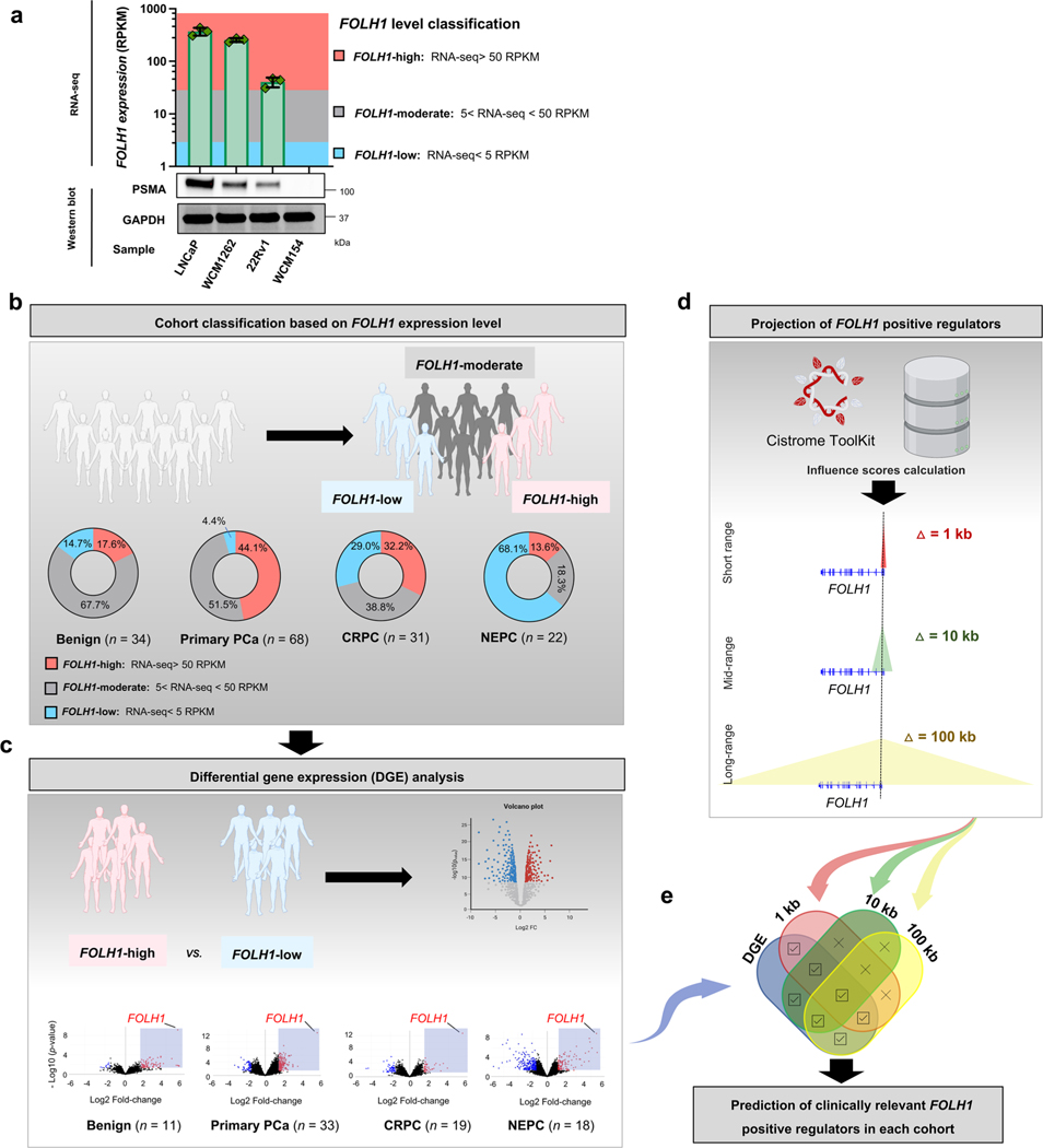 Extended Data Fig. 4 |