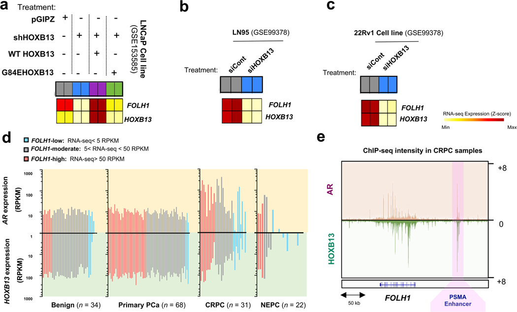 Extended Data Fig. 6 |