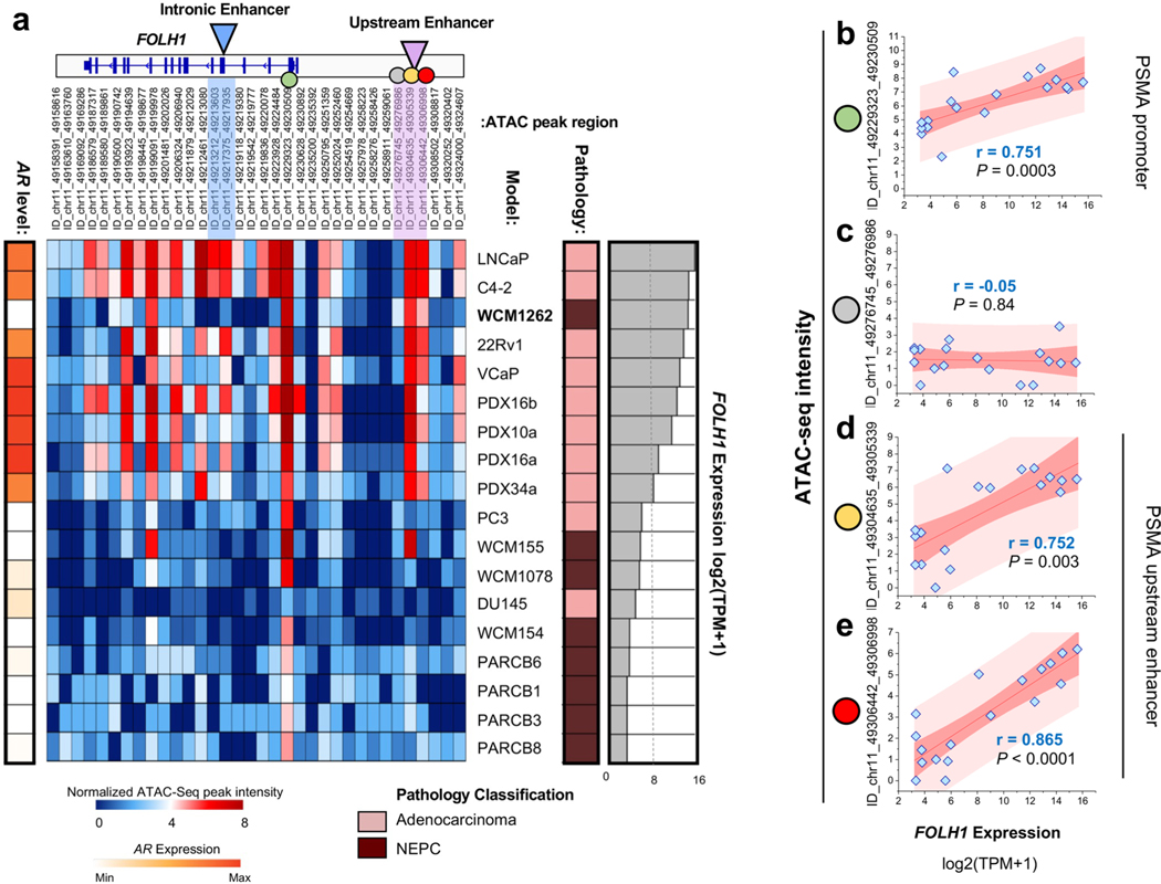 Extended Data Fig. 7 |