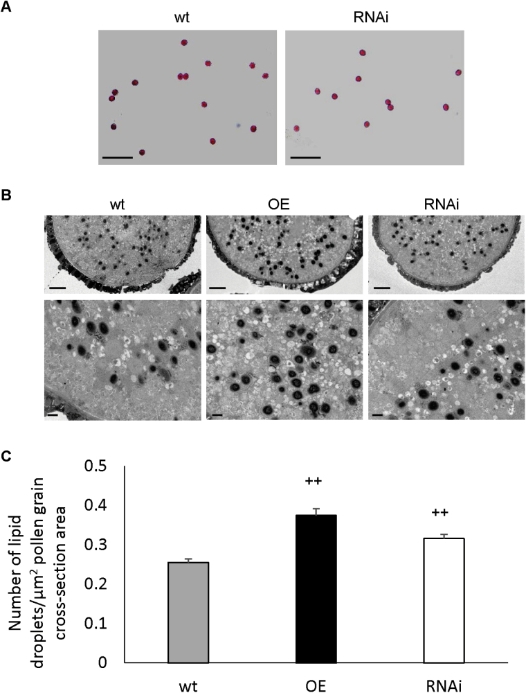 Fig. 5.