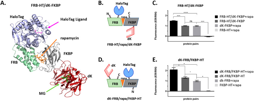 Figure 3.