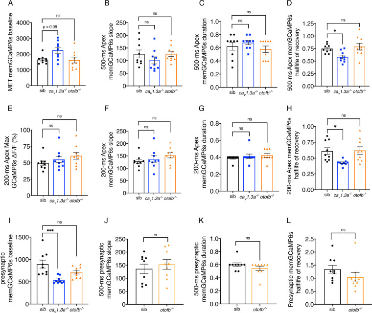 Figure 1—figure supplement 2.