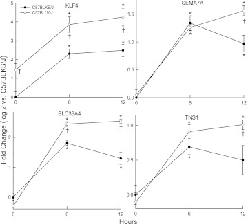 Figure 5.