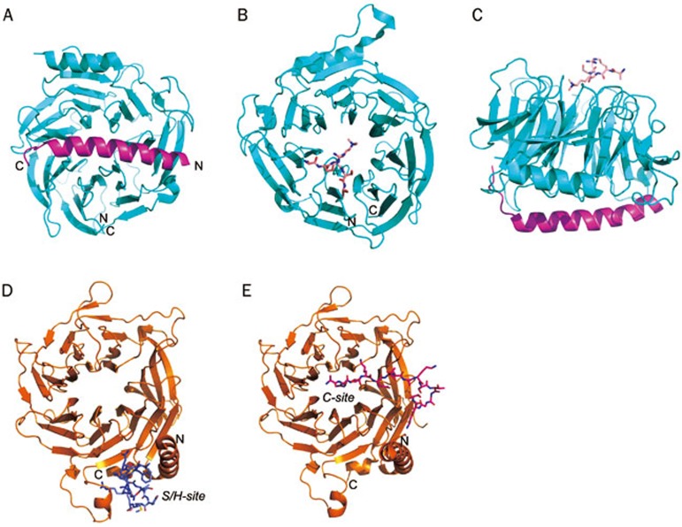 Figure 4