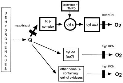 FIG. 5