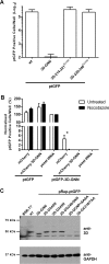 FIG 4