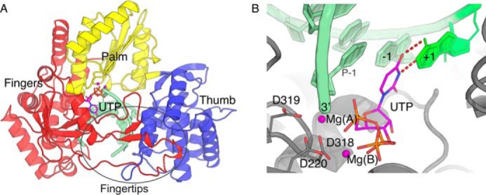 Figure 1.