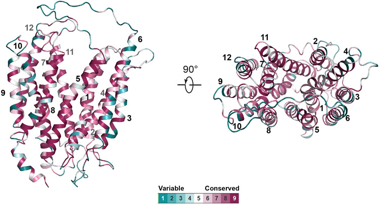 Extended Data Figure 5.