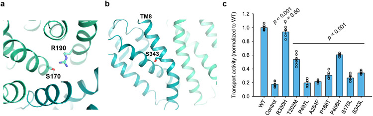 Extended Data Figure 8.