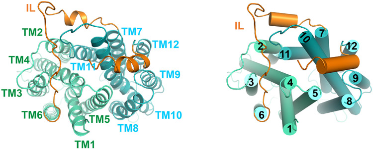 Extended Data Figure 6.